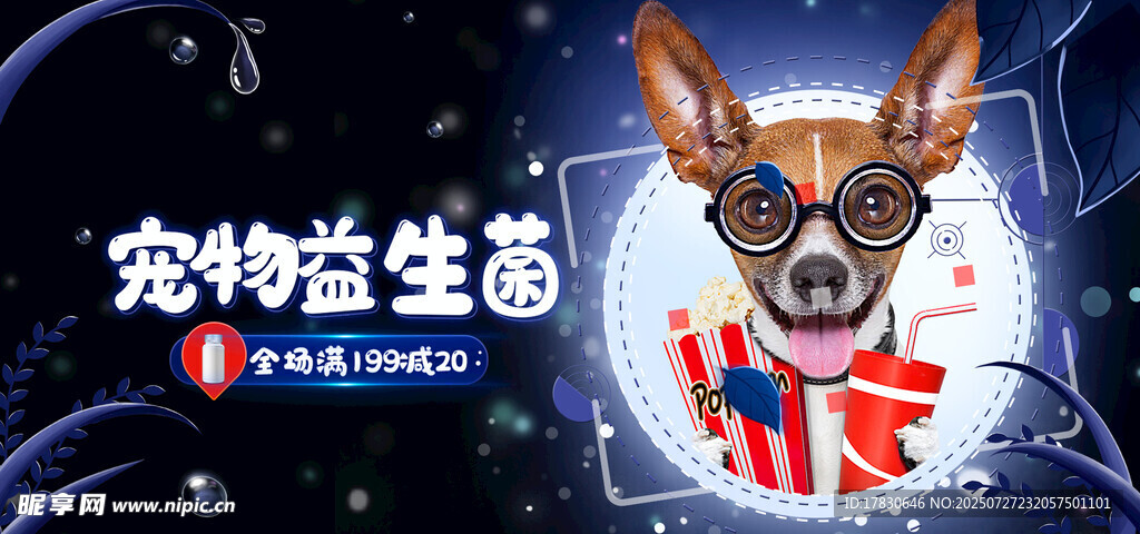 宠物益生菌宣传图