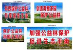 公益林保护宣传标语展示