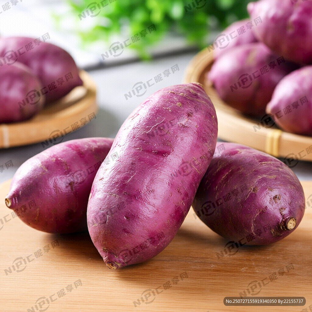 新大坪马铃薯特点