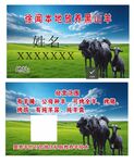 山羊