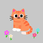 小猫 猫咪