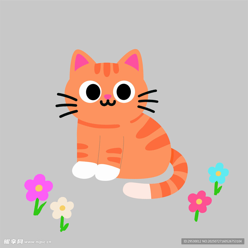 小猫 猫咪