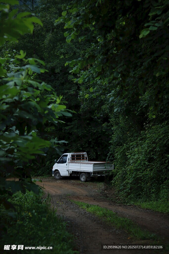 林间小道上的白色汽车