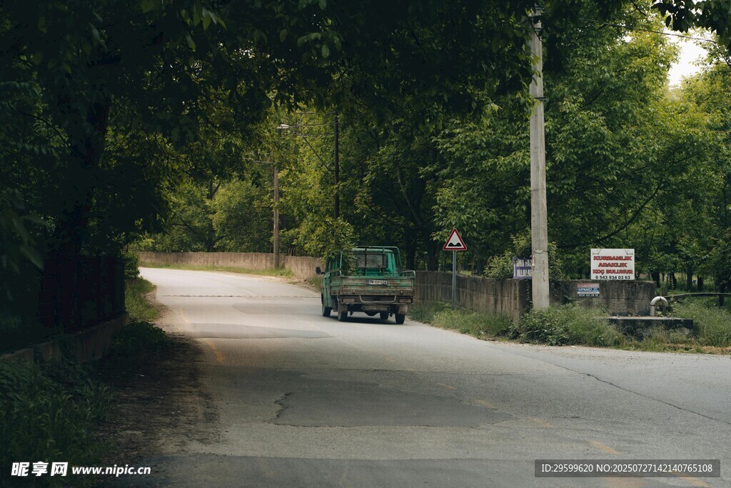 林间公路上的行驶车辆