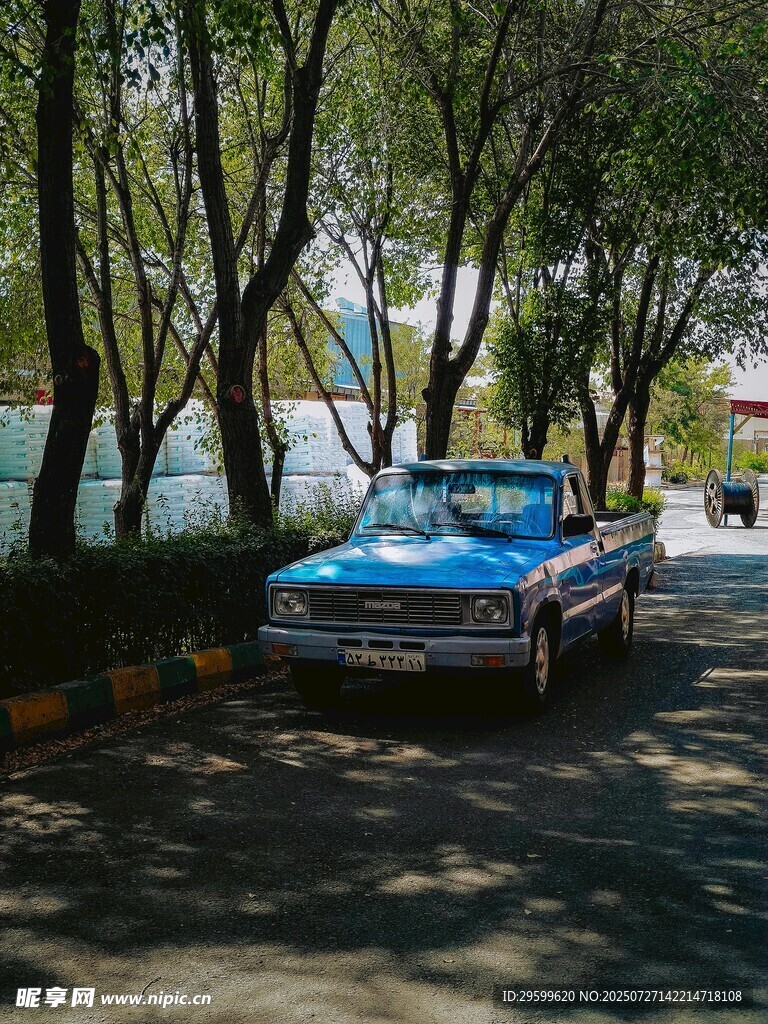 林荫下的复古蓝色轿车