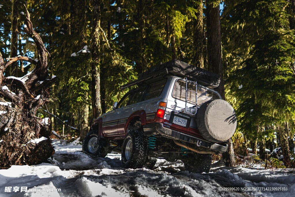 雪地森林中越野的SUV