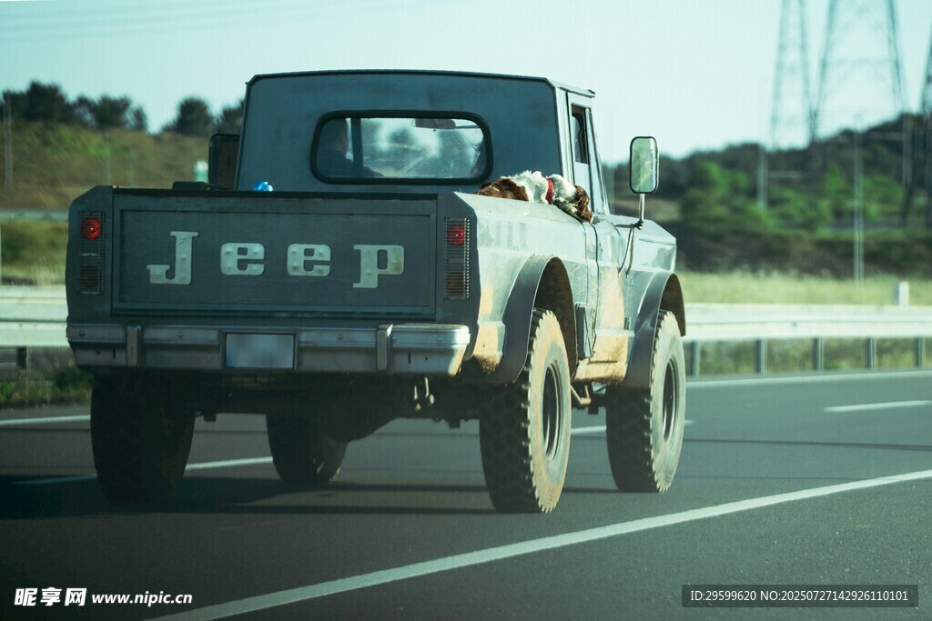 公路上行驶的复古Jeep皮卡