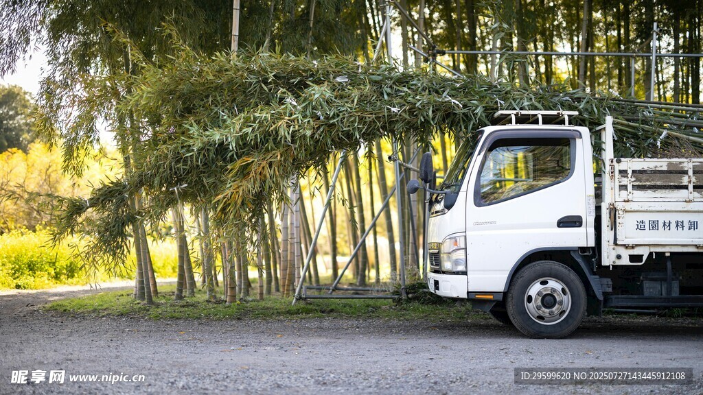 公路旁停靠的白色载货卡车