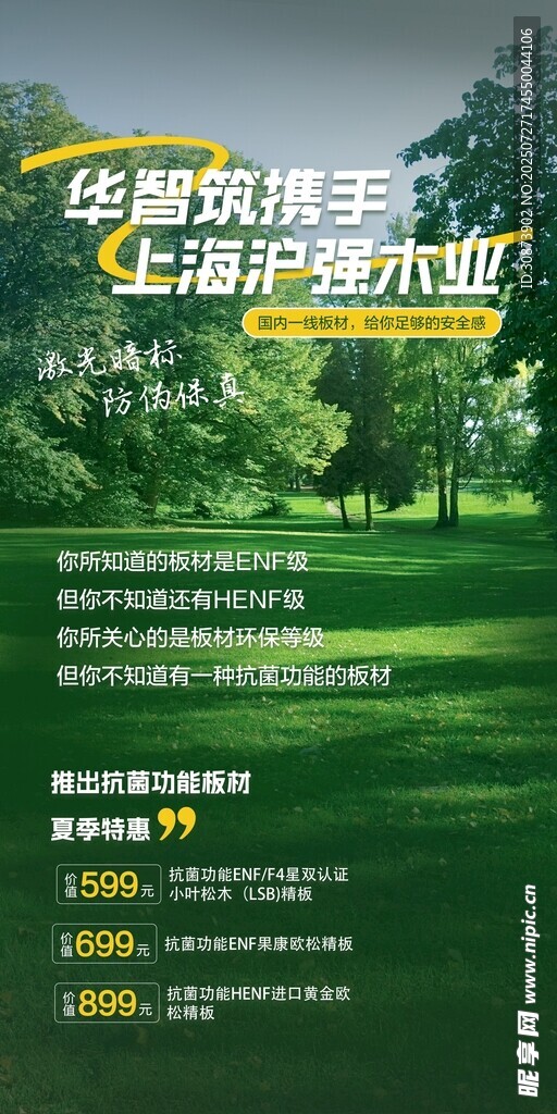 森林海报