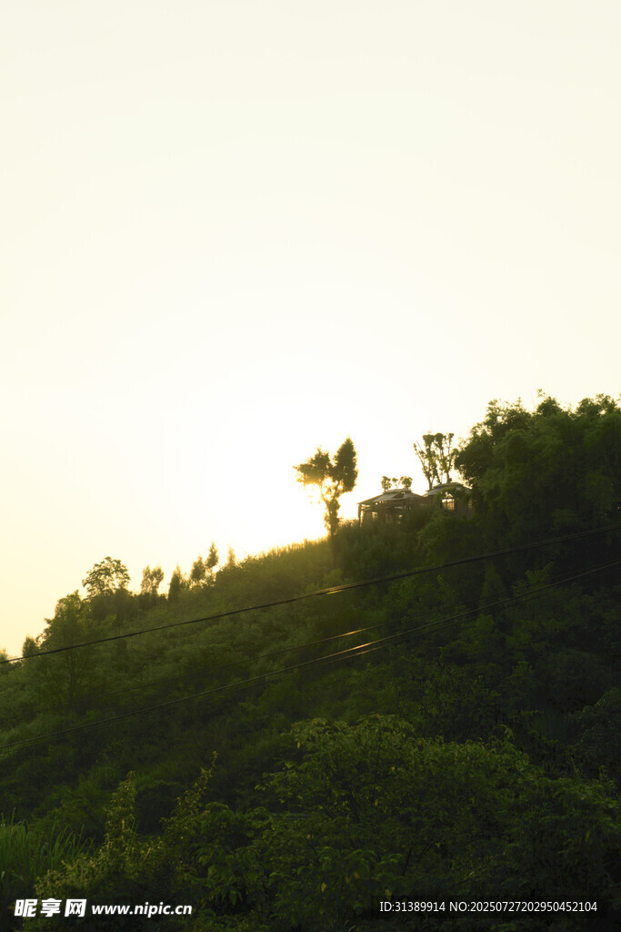 夕阳下的山坡绿树剪影