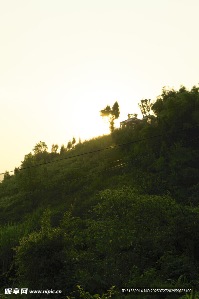 夕阳下的绿意山丘
