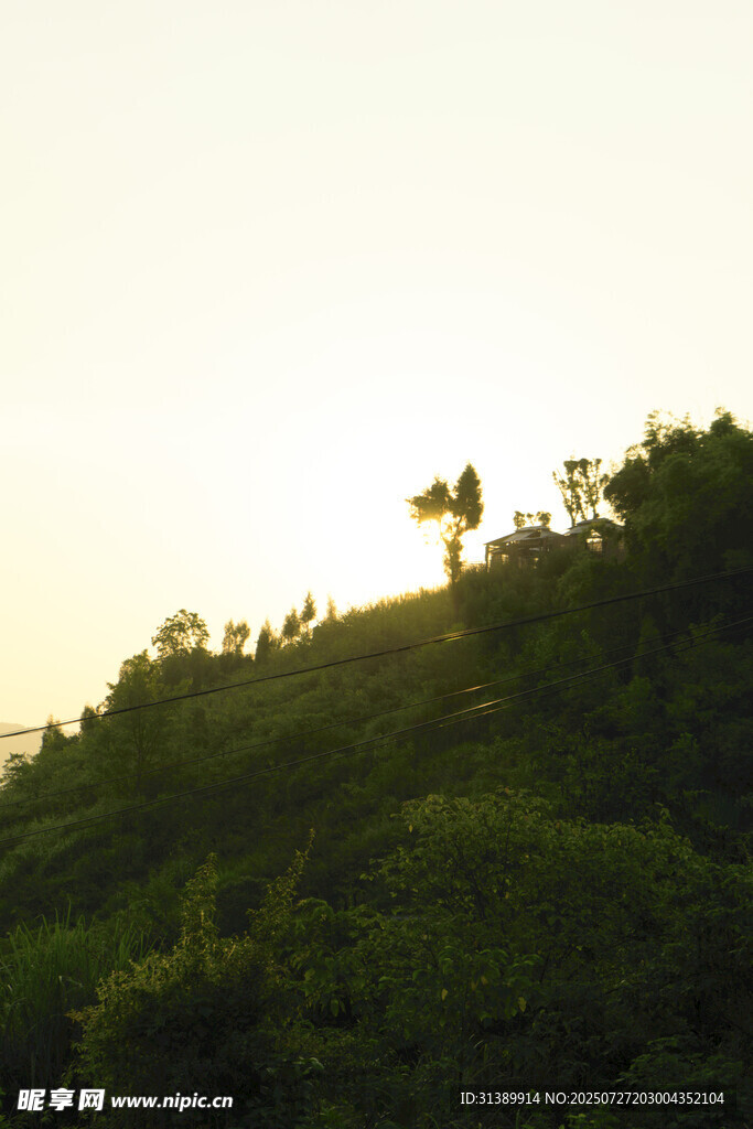 夕阳下的绿意山丘