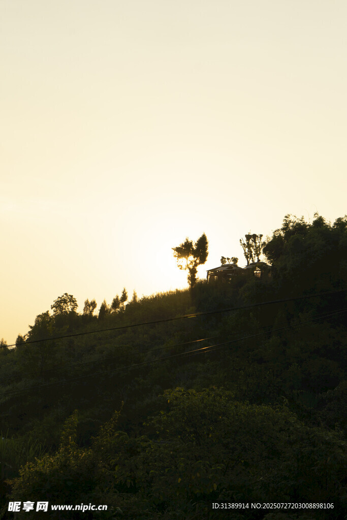 夕阳下的山丘树木景观