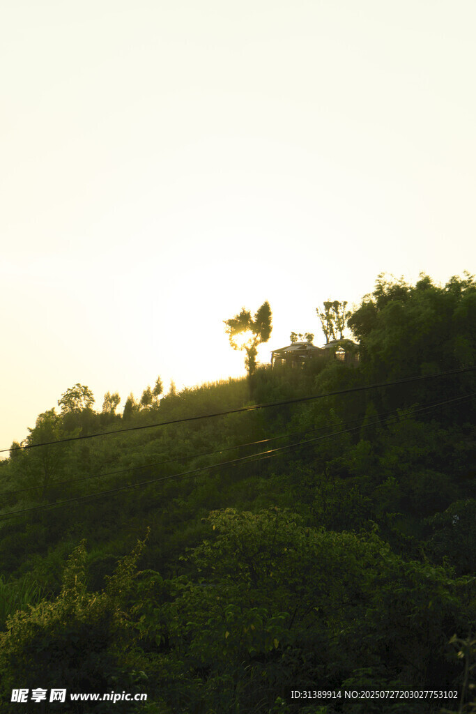 夕阳下的绿意山丘