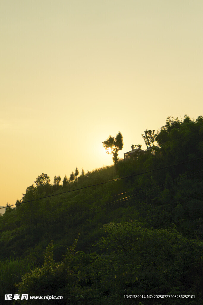 夕阳下的绿意山丘
