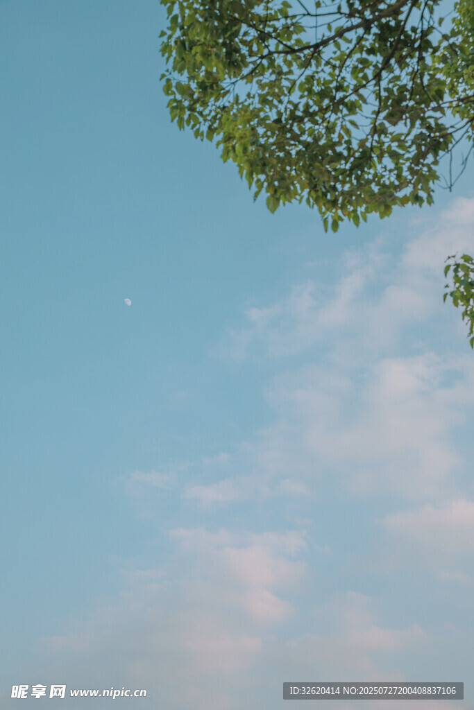 蓝天绿树间的清新景致