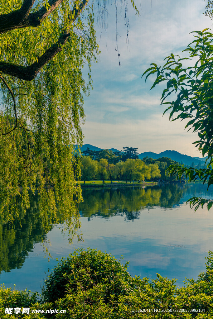 湖畔垂柳 山水如画美景