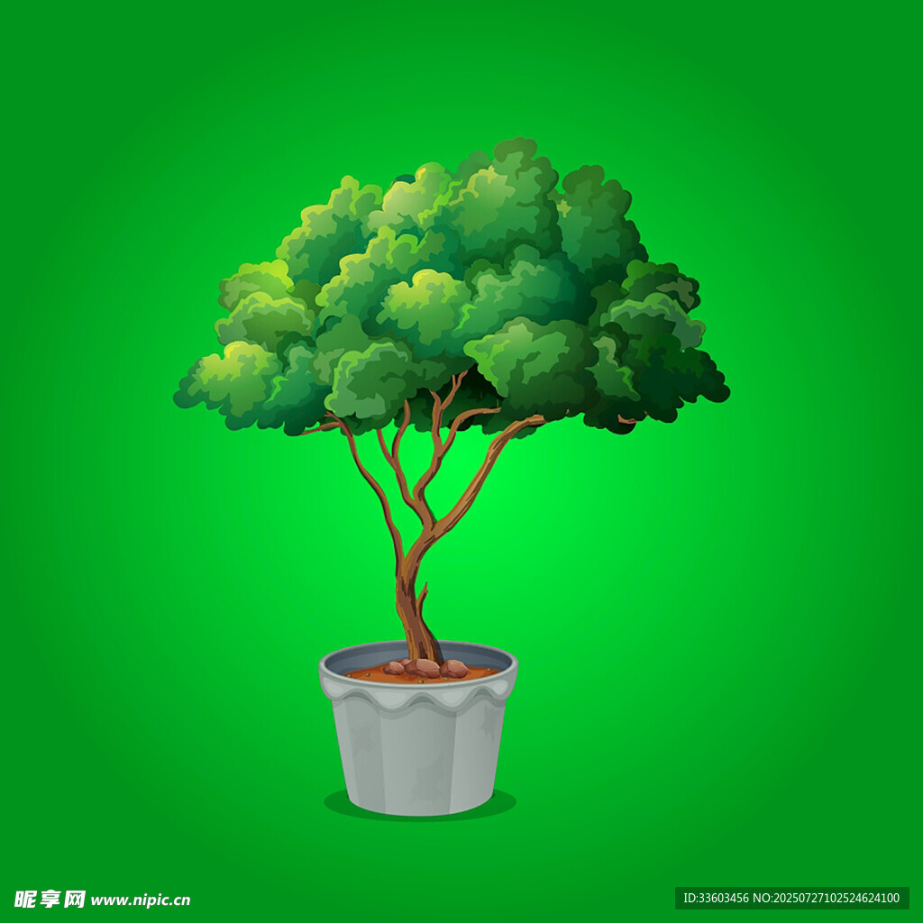 盆栽绿树