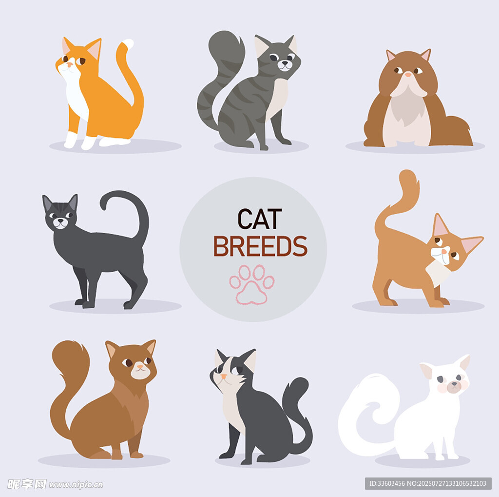 多样猫咪插画