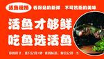 鱼海报