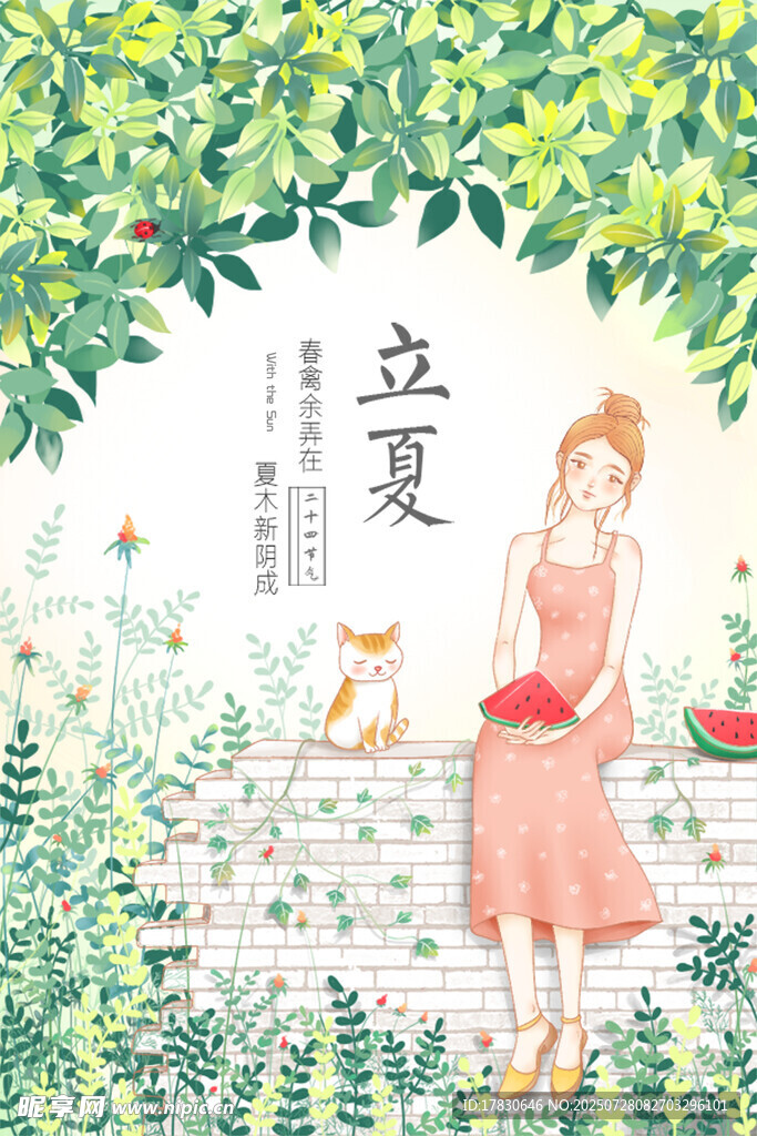立夏时节女孩与猫咪画面