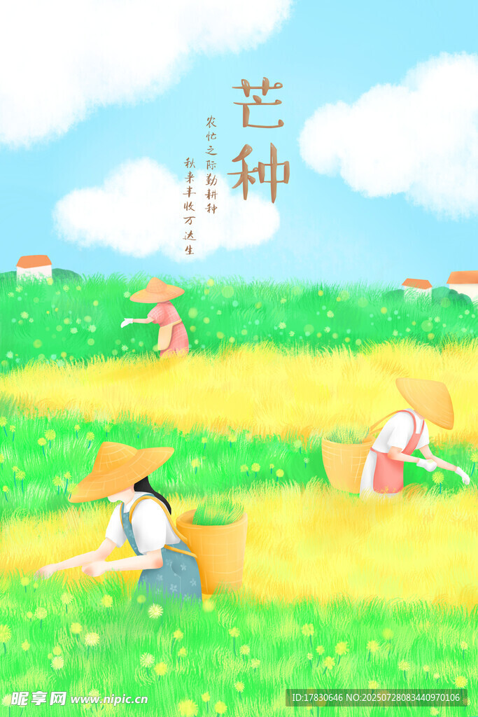 芒种时节田间劳作场景