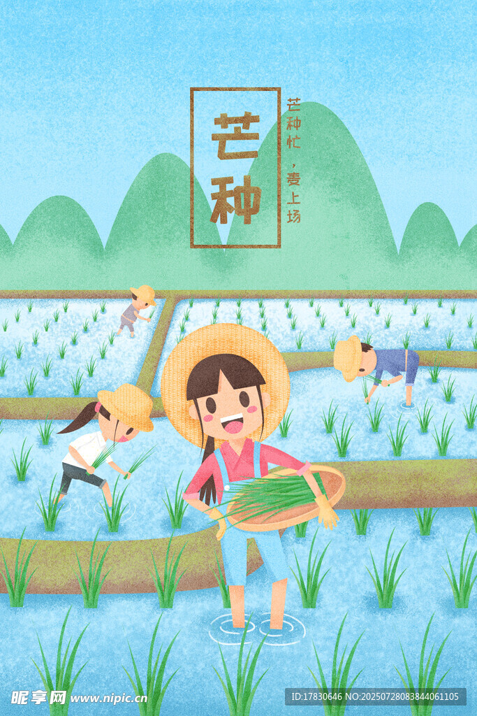 芒种时节田间劳作场景
