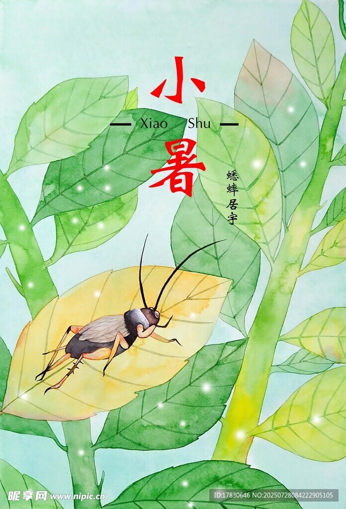 小暑时节的昆虫插画
