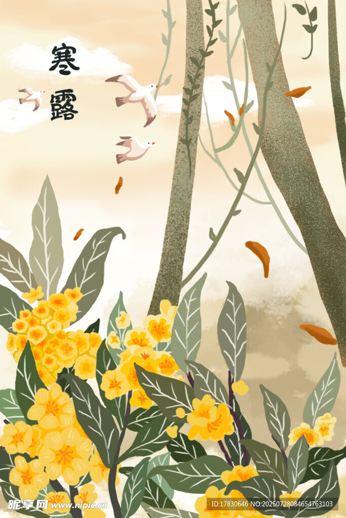 寒露时节桂花绽放美景