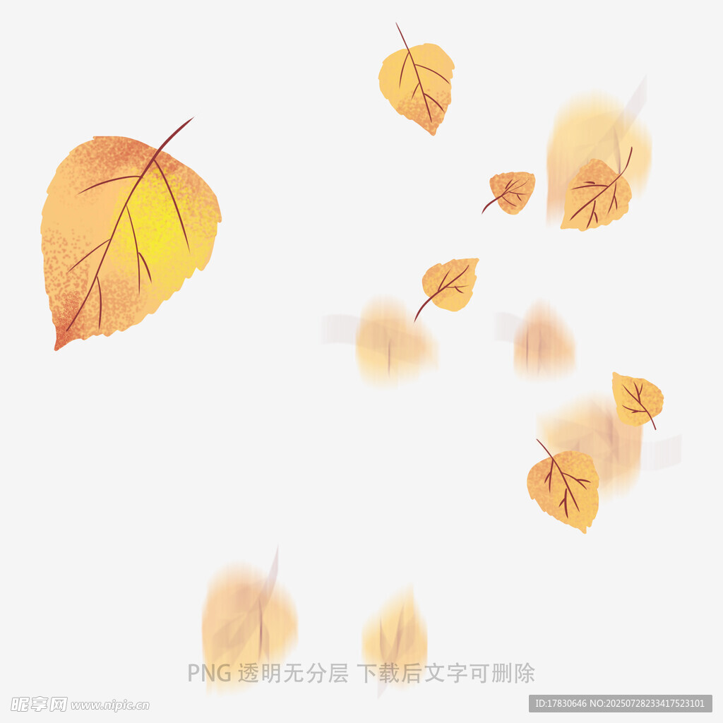 飘落的金黄秋叶