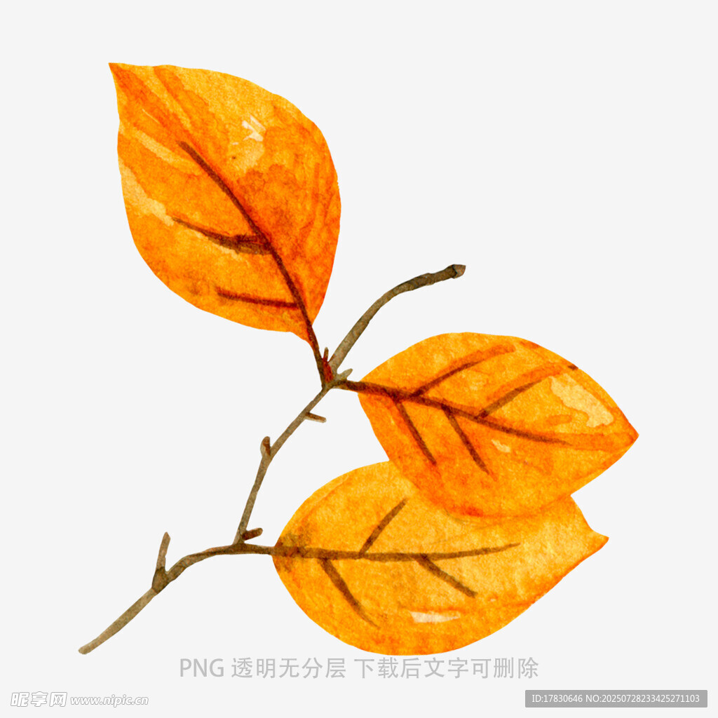 水彩绘秋日橙黄树叶