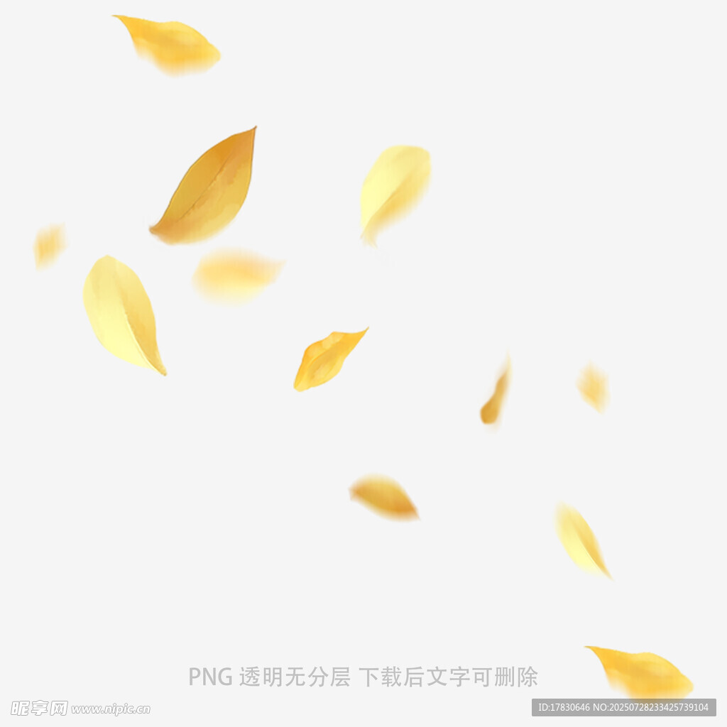 飘落的金色树叶唯美画面