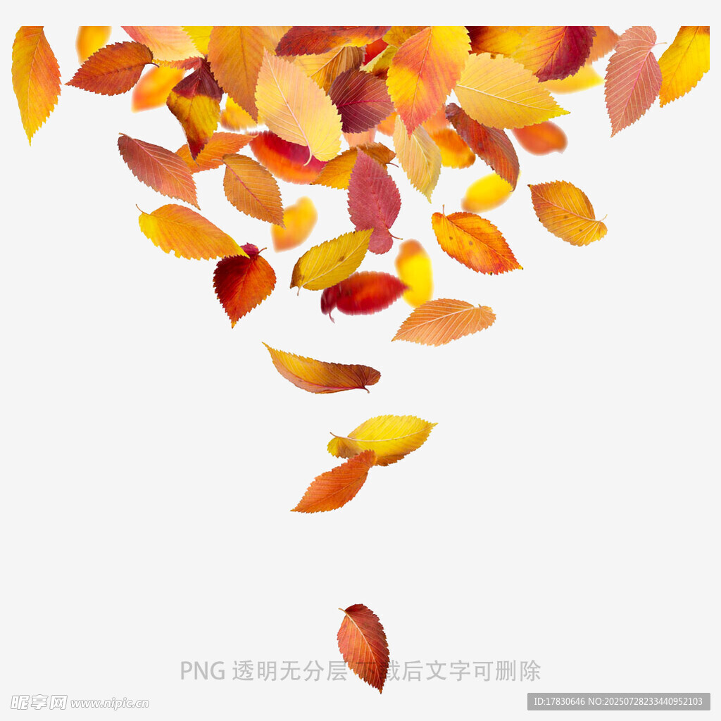 落叶
