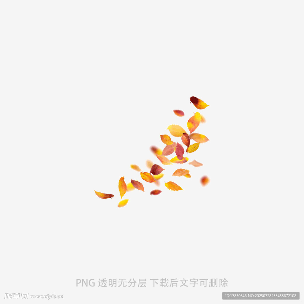 飘落的多彩秋叶