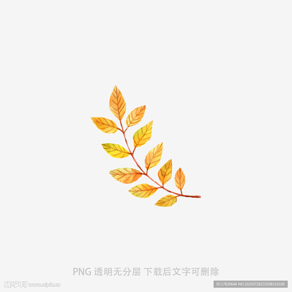 手绘金黄叶片装饰图案