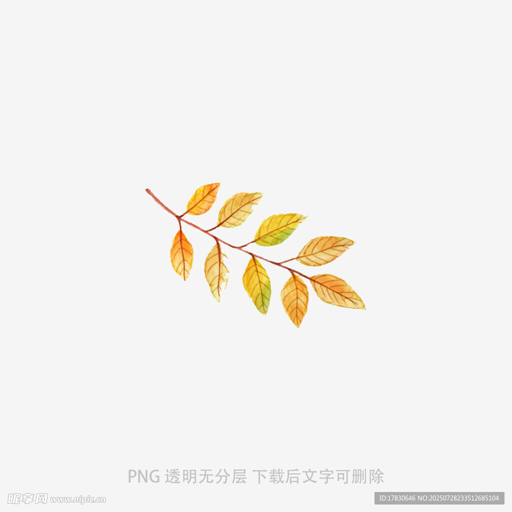 秋日金黄叶片插画