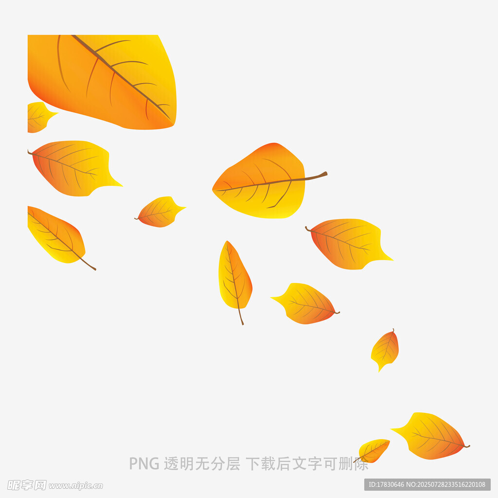 飘落的金黄秋叶