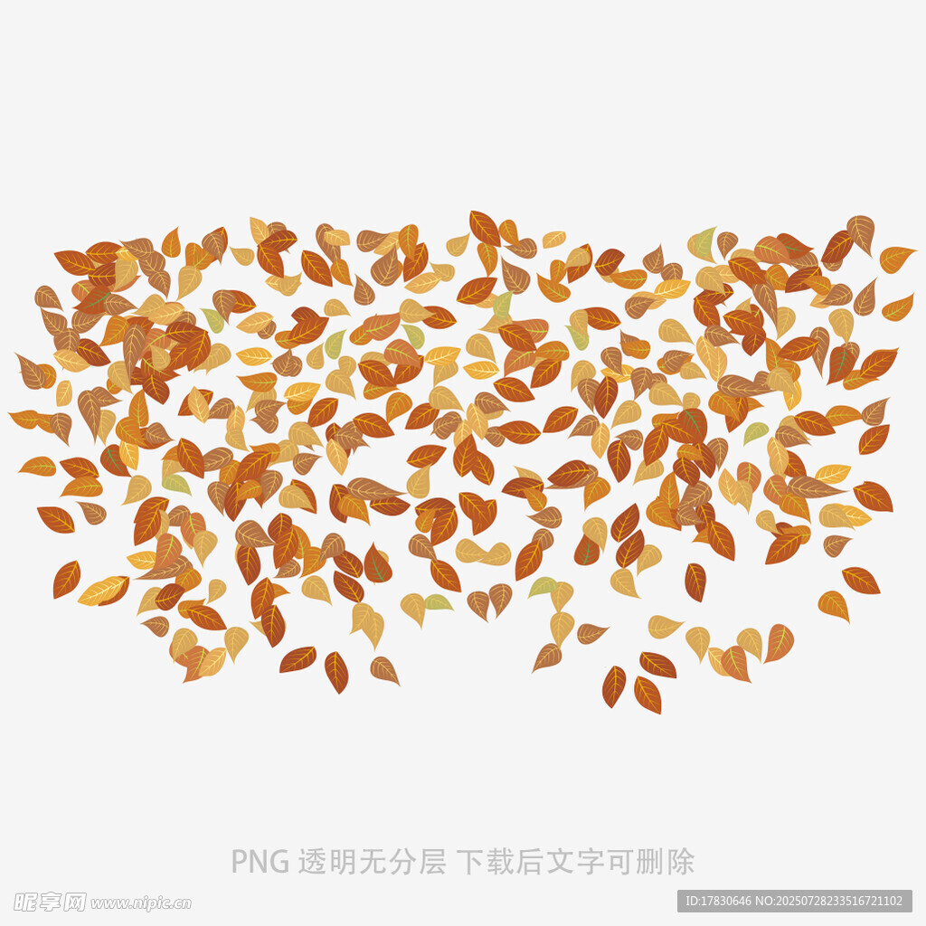 飘落的金色树叶素材
