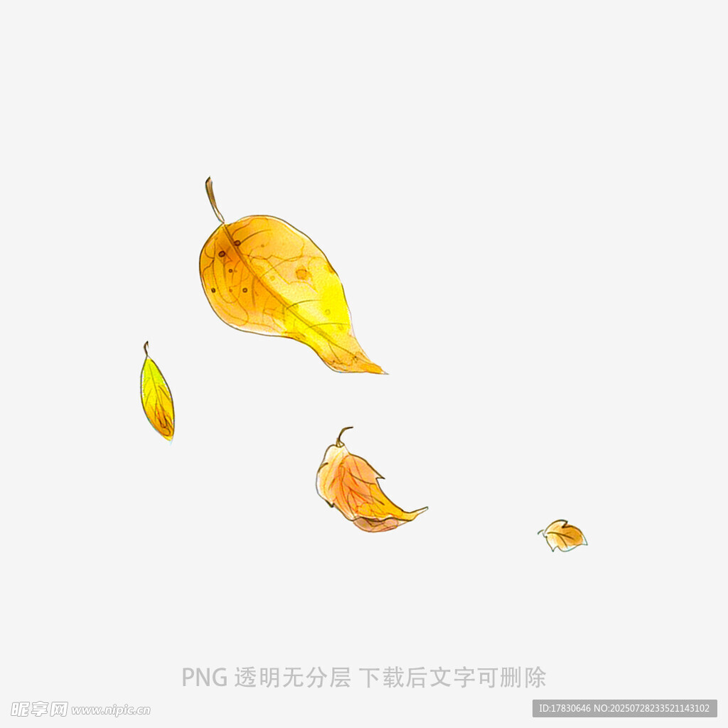 飘落的金黄秋叶