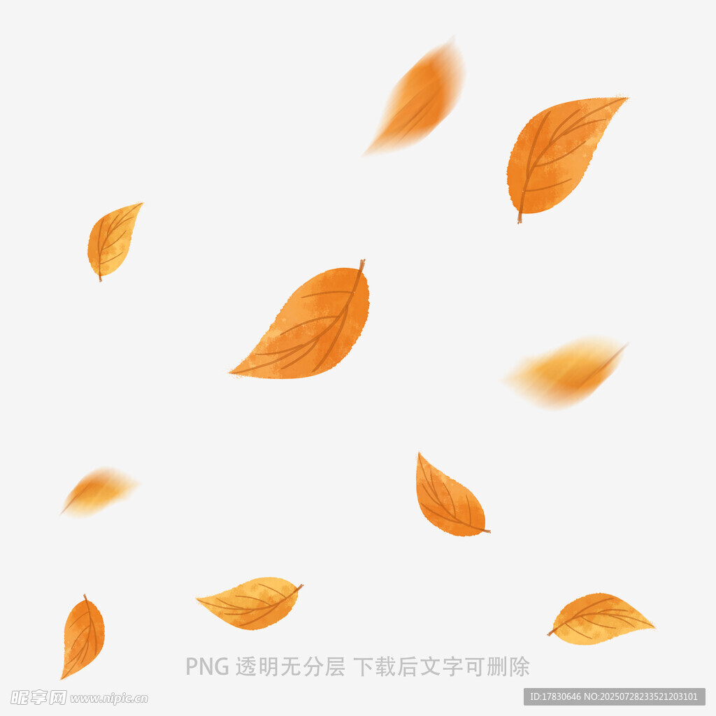 飘落的金黄秋叶