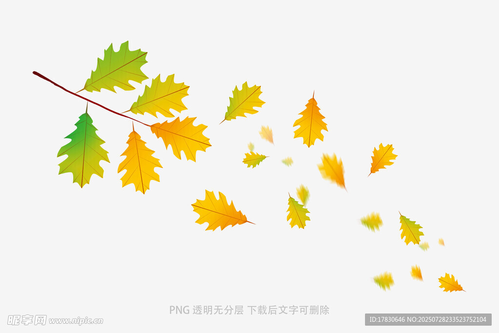 飘落的多彩秋叶