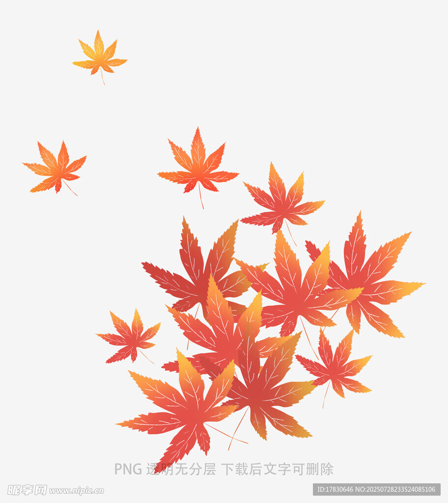 秋日枫叶飘落景象