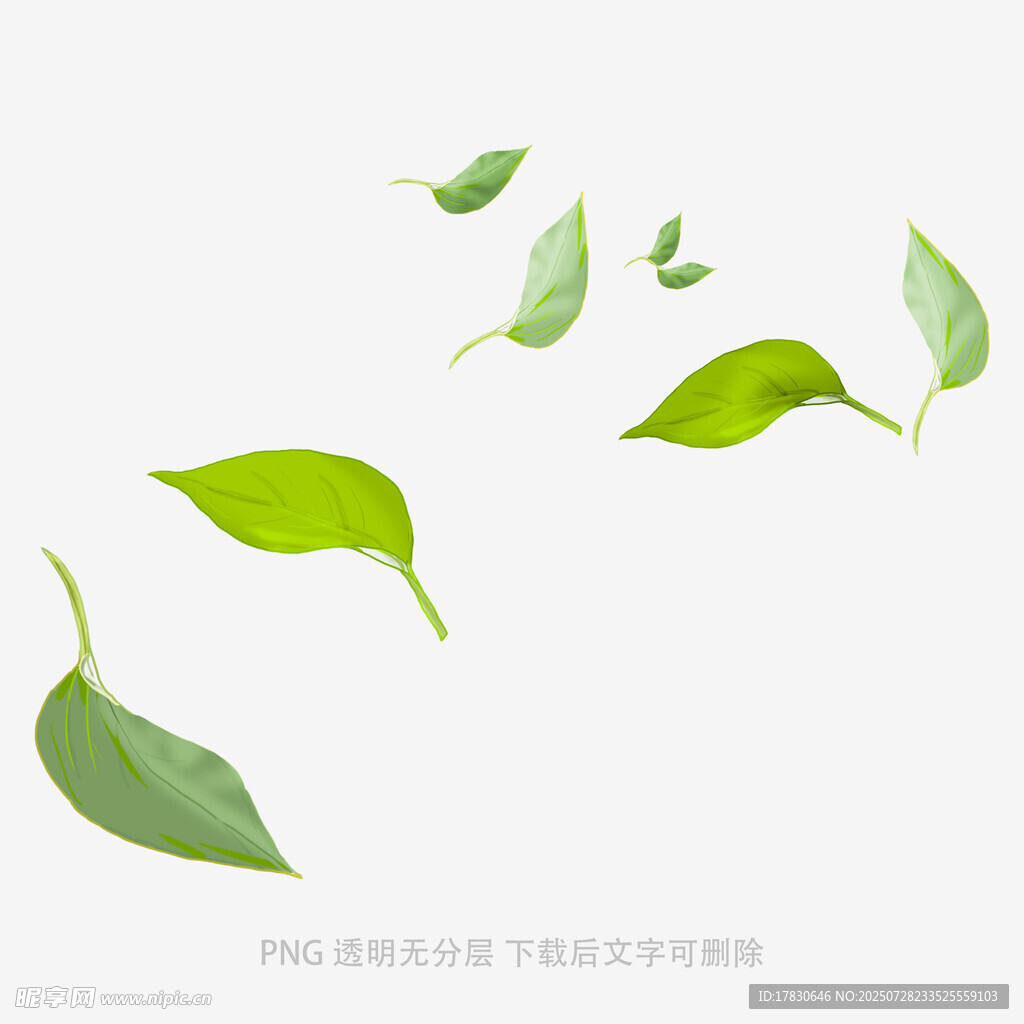 飘落的绿色树叶