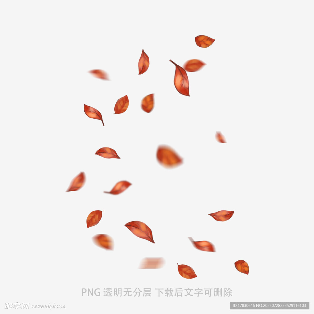 飘落的红色秋叶