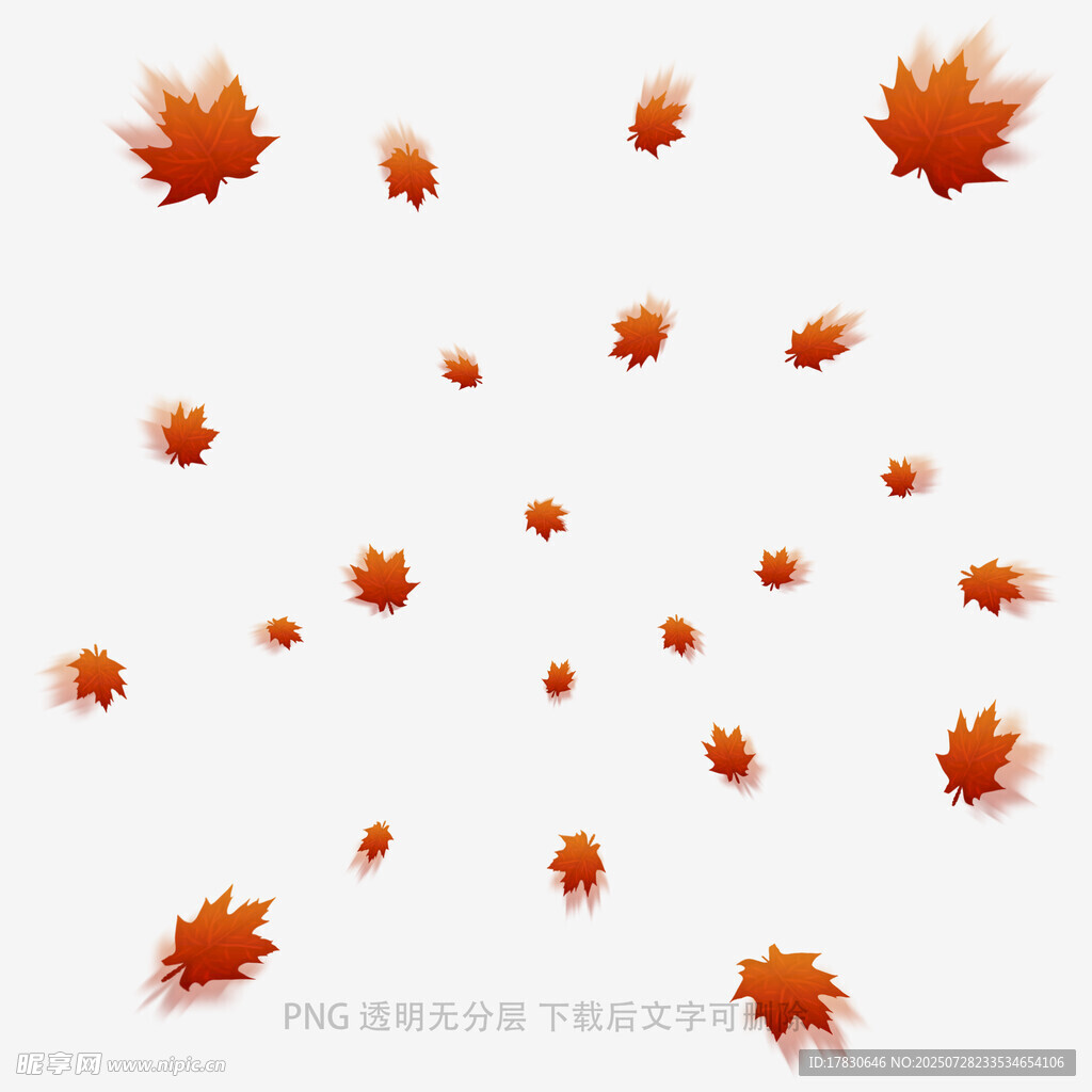 飘落的红色枫叶