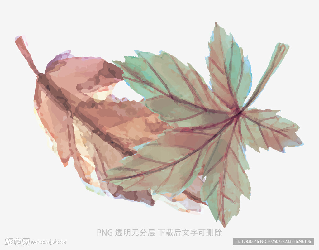 水彩绘秋叶