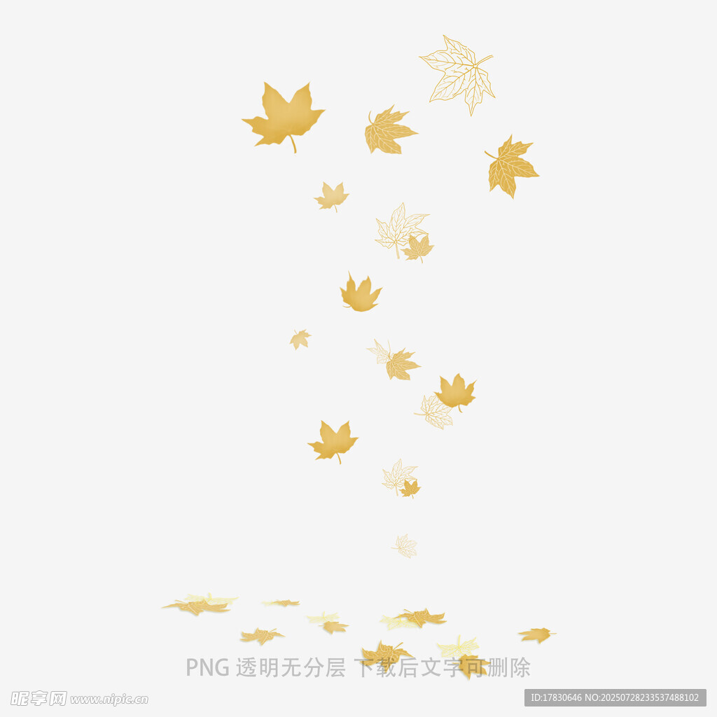飘落的金黄枫叶唯美画面