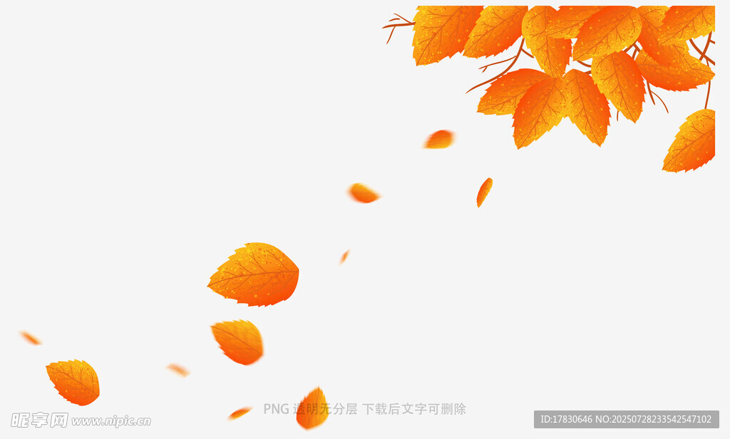 飘落的橙色树叶背景图