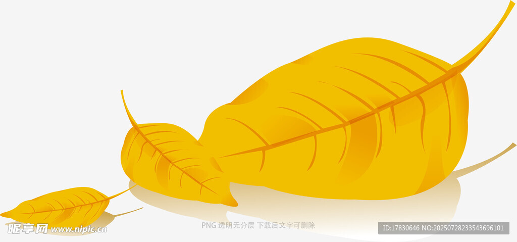 金黄秋叶静躺