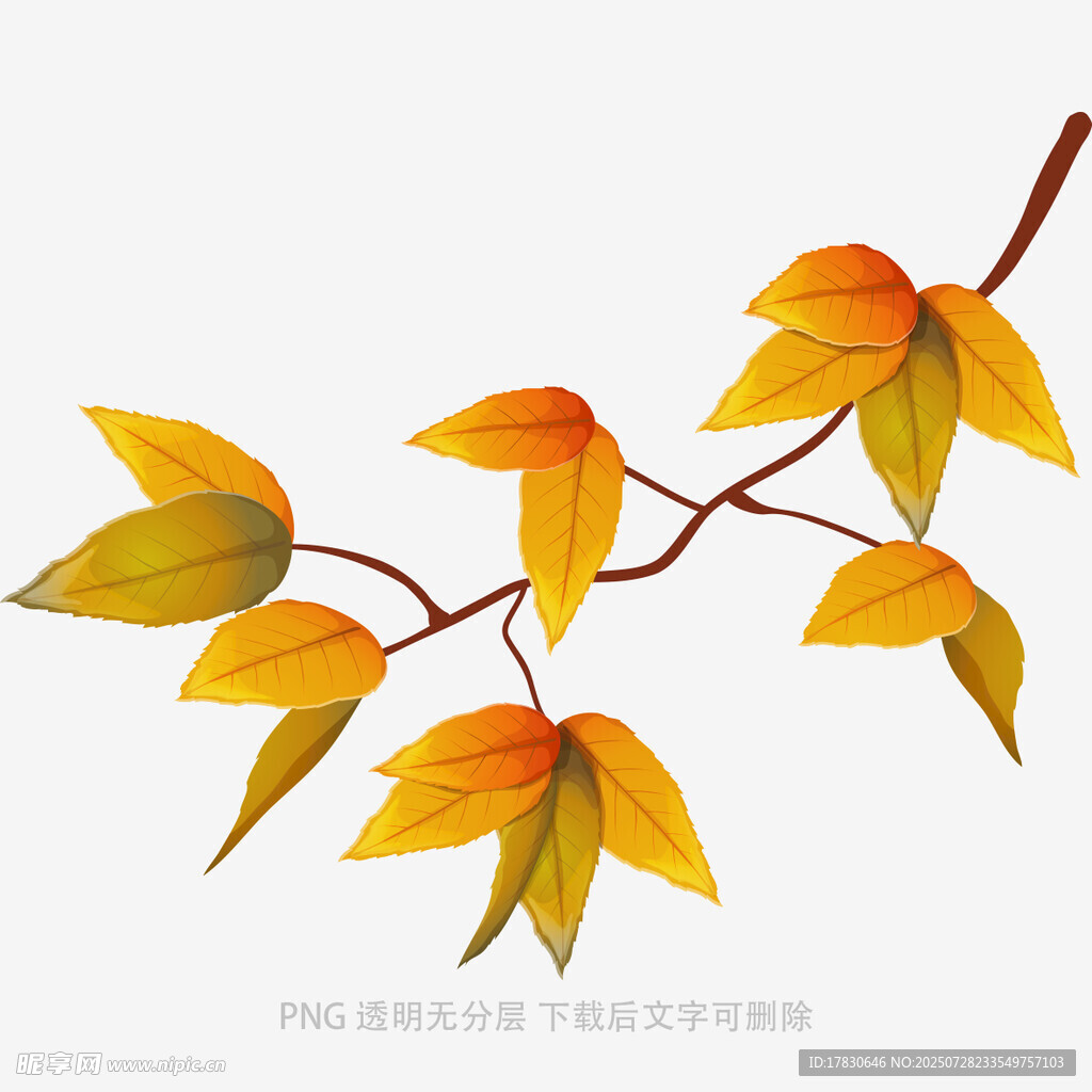 秋日枝头黄叶插画